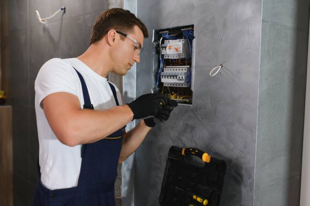 Best Electric Panel Repair  in Atoka, NM