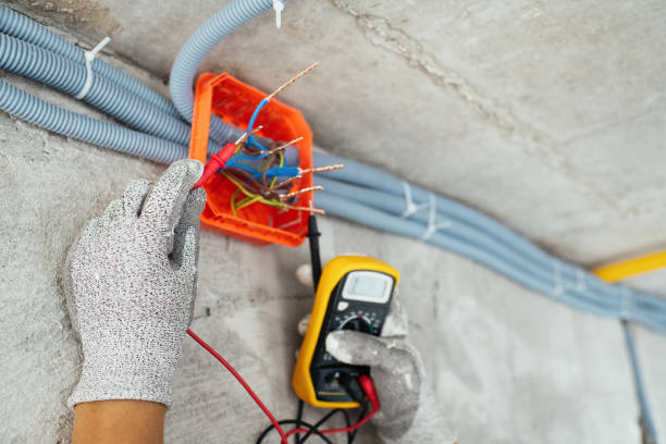 Best Electrical System Inspection  in Atoka, NM